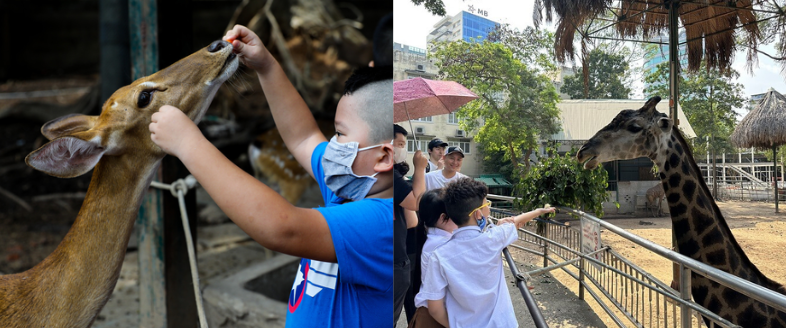 Bé cho hươu ăn trong khu vườn rộng tại khu vui chơi trẻ em Thảo Cầm Viên